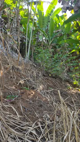 Terreno próximo ao centro domingos Martins