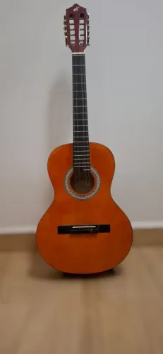 Viola Gianini Start