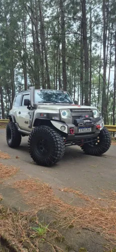 Troller T-4 4X4 3.2 20V TDI Cap. Rígida Diesel 2016