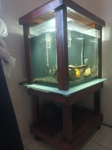 Aquário
