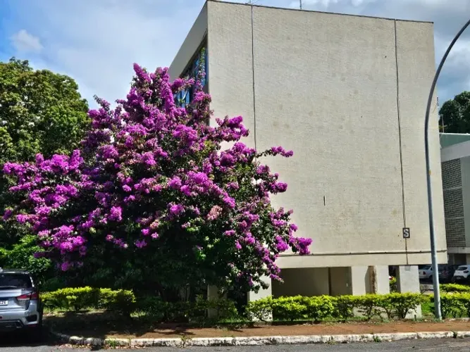 ALUGO apartamento 3 quartos ASA SUL - SQS 414 bloco S com elevador e vista livre