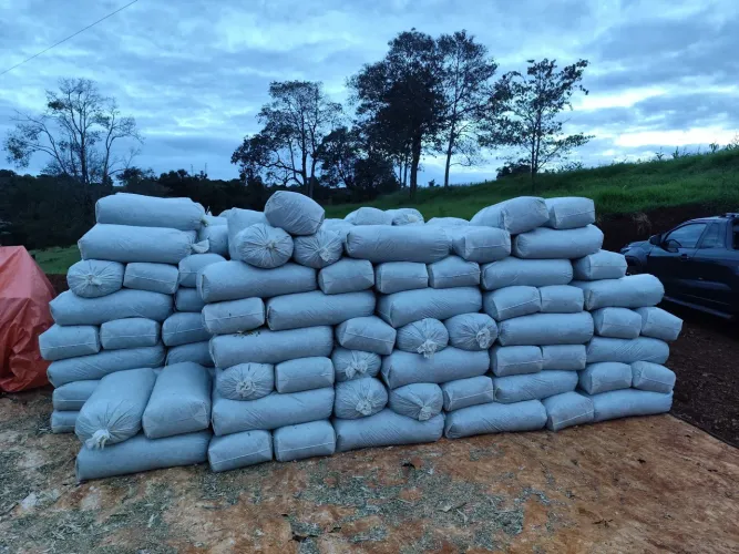 Silagem de Milho Ensacada - R$ 0,65/kg