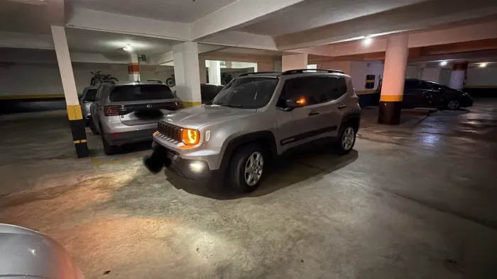 Jeep Renegade T270 1.3 TB 4X2 Flex Aut. 2024