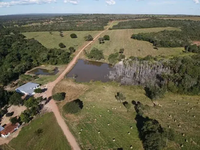 Fazenda à Venda em Barra do Garças  MT | 1.827 Hectares | Lavoura e Pecuária