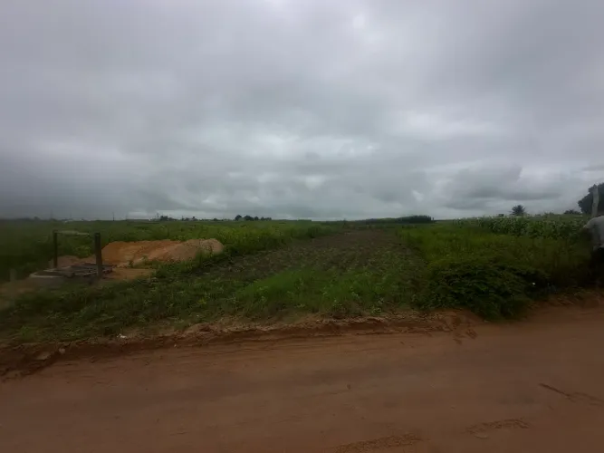 Lotes em junqueiro 15 mil OPORTUNIDADE!!