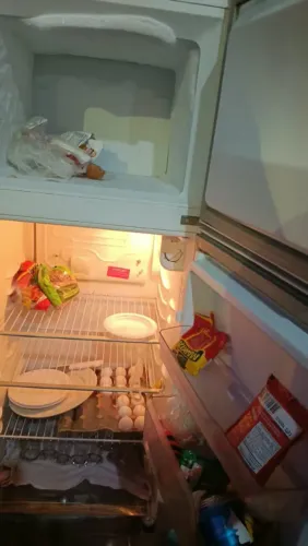 Geladeira bem conservada
