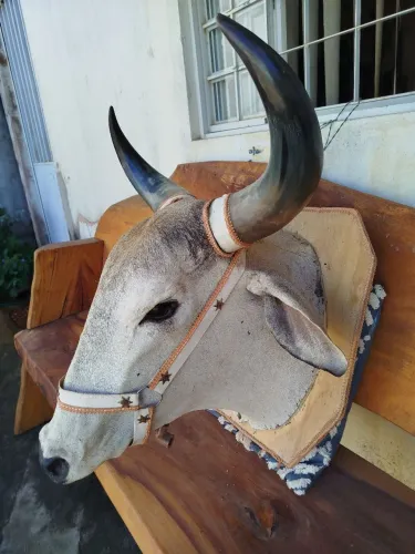 Cabeça de boi empalhada