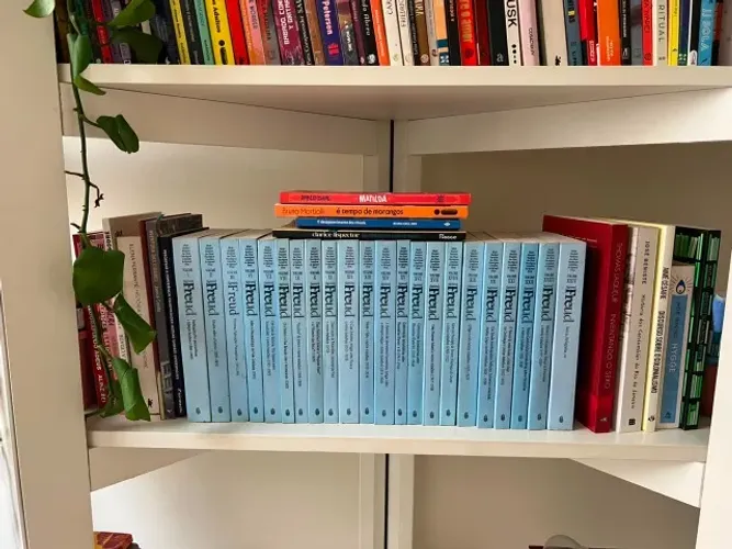 Coleção Incompleta do Freud