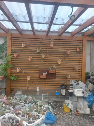 Vendo pergolado