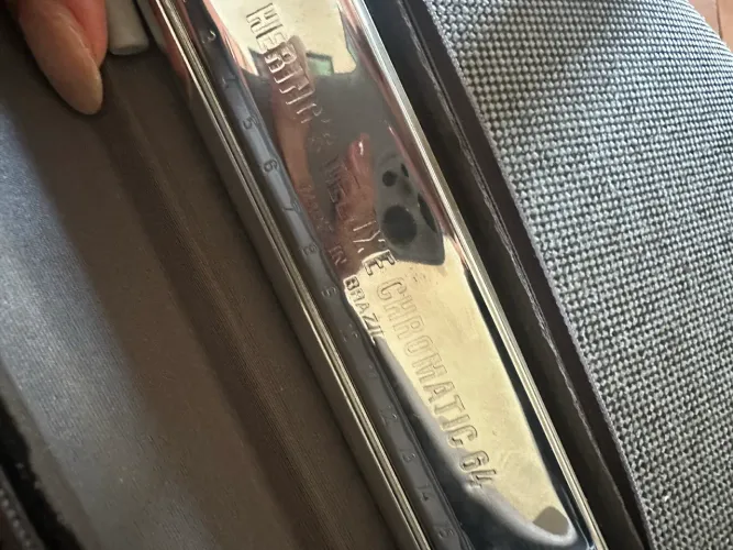 Gaita profissional