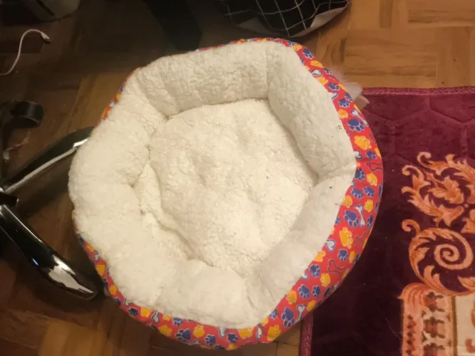 Vendo cama para gato, não foi usado e em perfeito estado.