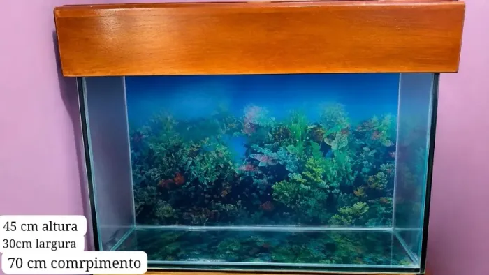 Aquário