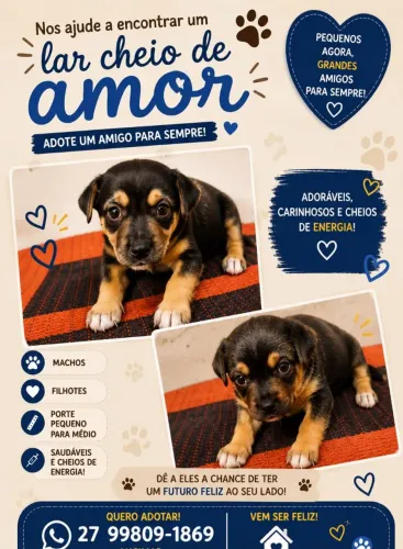Cachorro para adoção