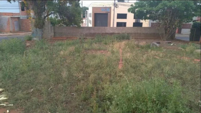 TERRENO COMERCIAL PLANO
