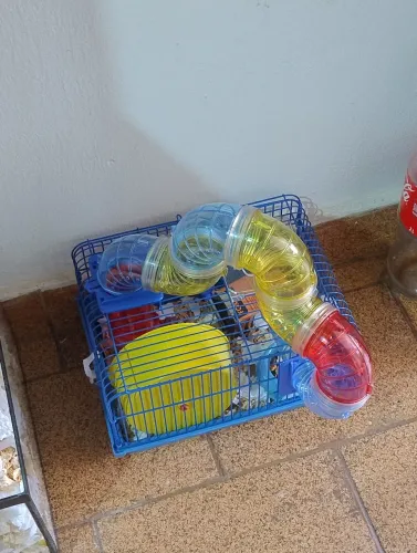 Vende-se gaiola hamster