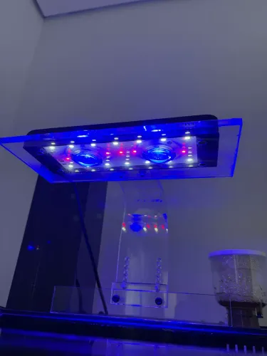 Luminária Zetlight Aquário