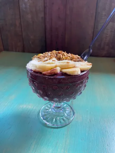 Creme de açaí premium 10 litros 
