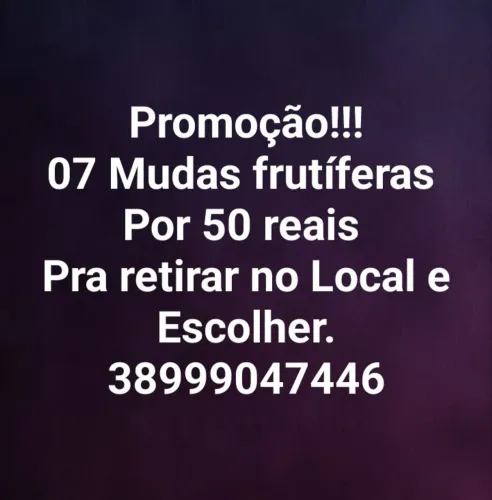 Promoção!!!