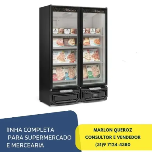 Freezer Expositor para Congelados Gelopar