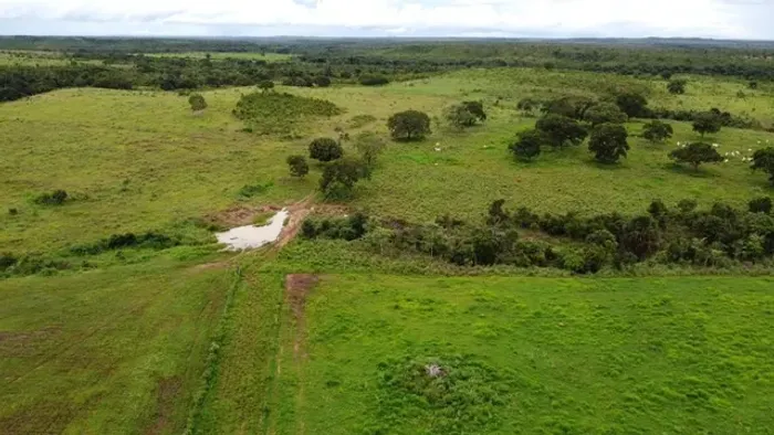 Fazenda em Monte do Carmo. 26 mil..