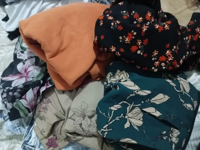 Lote de roupas diversas