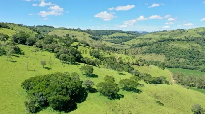 Fazenda pecuária 22 alqueires