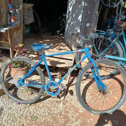 Caloi Cruiser Freestyle pintura original nao é extra light nylon bmx pantera