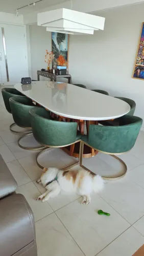 Conjunto Mesa e Cadeiras - Luxo