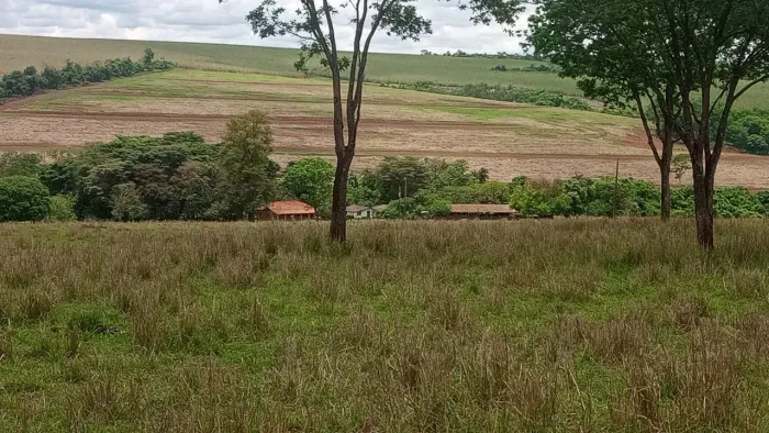 Fazenda à Venda de 275 ha em Campina Verde - MG