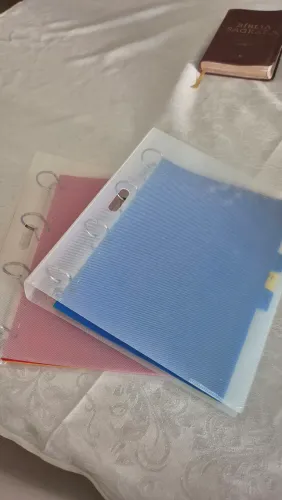 2 Fichários com Divisor de Matéria