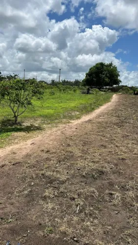 LINDO SITIO MATÃO