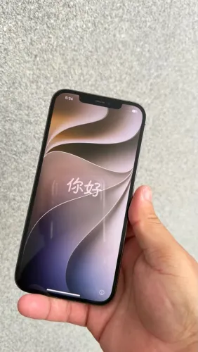 iPhone 12 Pro Max 