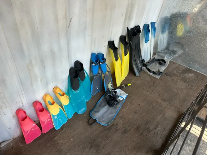 kit 7 nadadeiras 2 óculos 2 snorkel e 1 cinto de lastro Kit impecável vários tamanhos