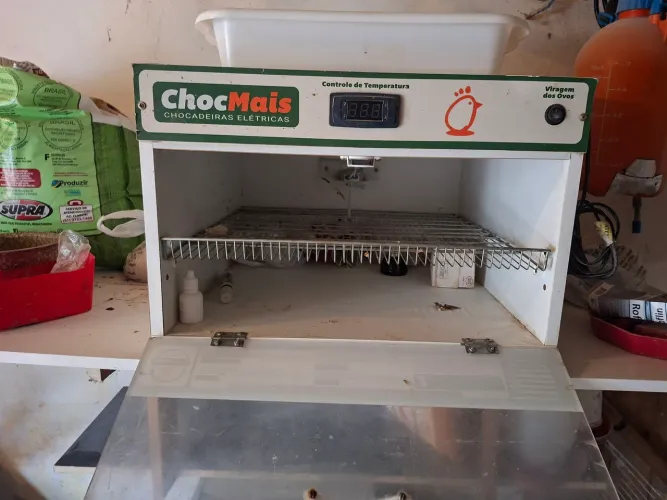 Chocadeira