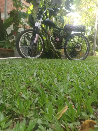 Bicicleta motorizada