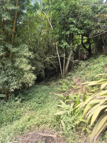 Terreno/chacara casa simples Atibaia - SP - Possível construção de chalés