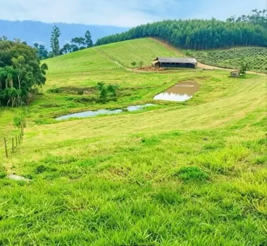 Lindo sítio