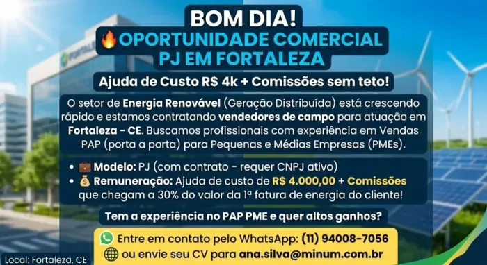 Vendedor externo - PAP