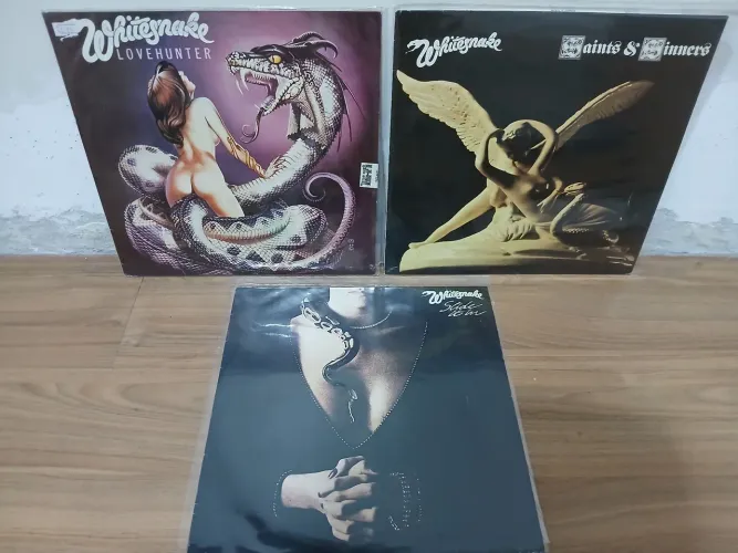 Disco Vinil Whitesnake 
