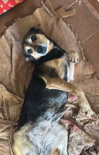 Doação 