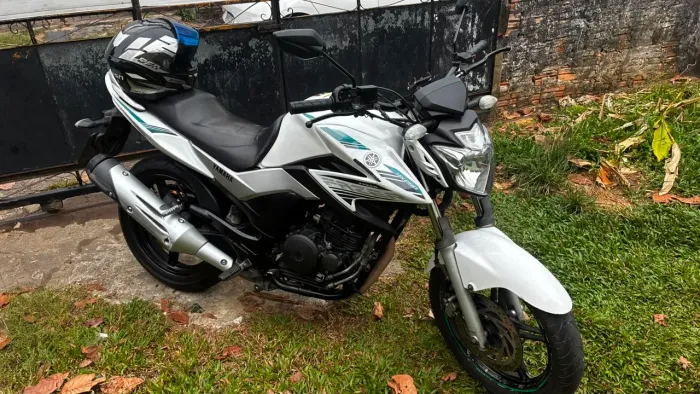 Fazer 250 BlueFlex