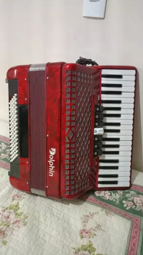 Acordeon dolphin