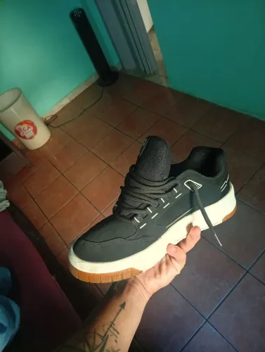 Tenis