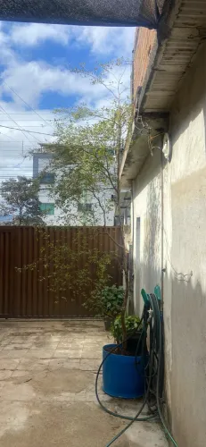 Jaboticaba 