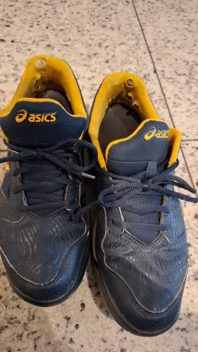 Tênis Asics de corrida (41)