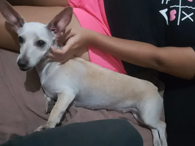Procuro um namorado 
