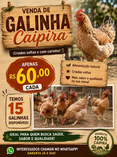 Galinha caipira