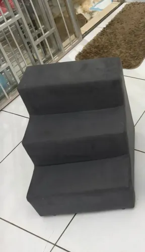 Cachorro/gato