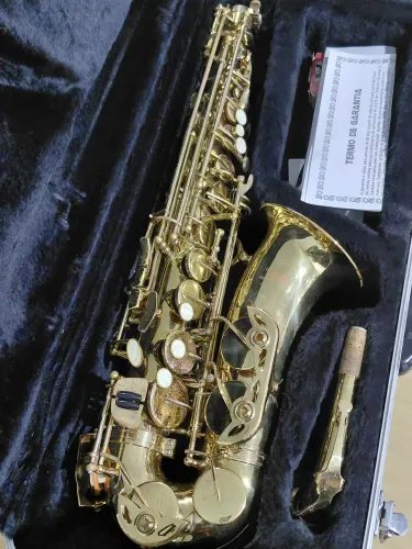 Saxophone Alto Shelter