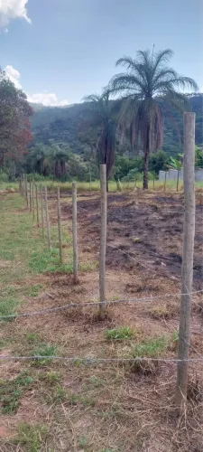 lote caete mg